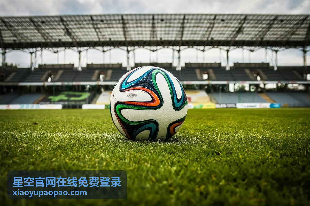 星空官网在线免费登录嘉宾分享星空影像内容
