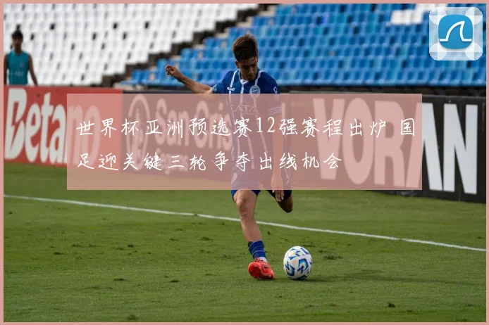 世界杯亚洲预选赛12强赛程出炉 国足迎关键三轮争夺出线机会