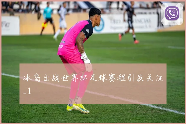 冰岛出战世界杯足球赛程引发关注_1