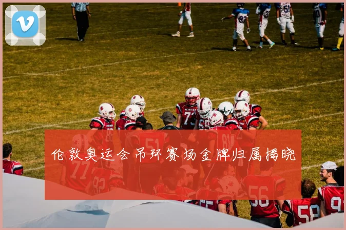伦敦奥运会吊环赛场金牌归属揭晓