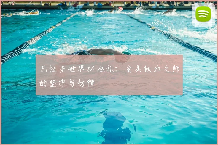 巴拉圭世界杯巡礼：南美铁血之师的坚守与彷徨