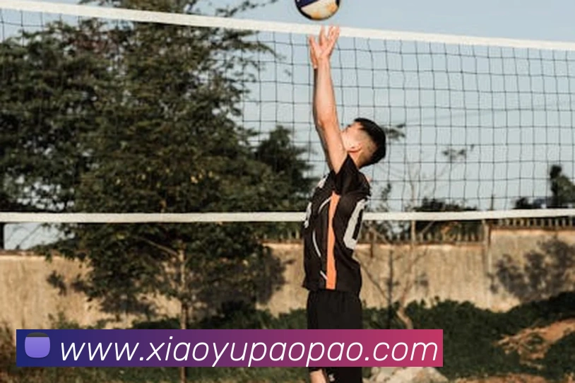 mksports官方网站登录入口平台生态图